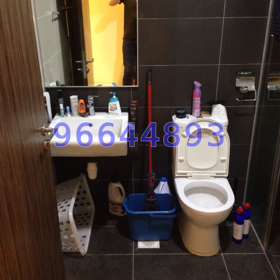 Suites @ Eastcoast (D15), Condominium #56707942